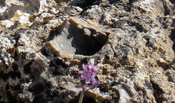 DSC07298.jpg1