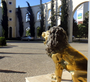 photo 1478886