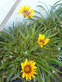 photo 1712569