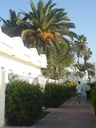 photo 1712570