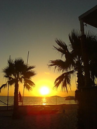 photo 1717364