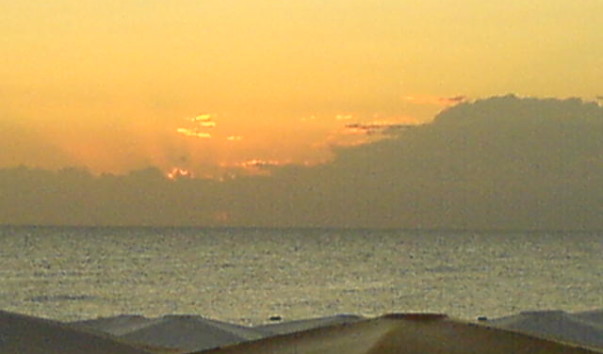 DSC00375
