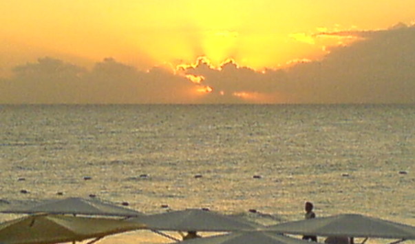 DSC00379