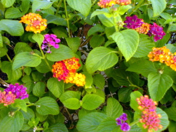 photo 1724727