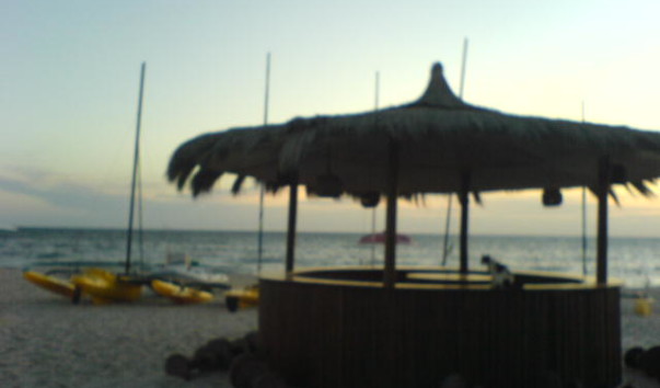 DSC00002