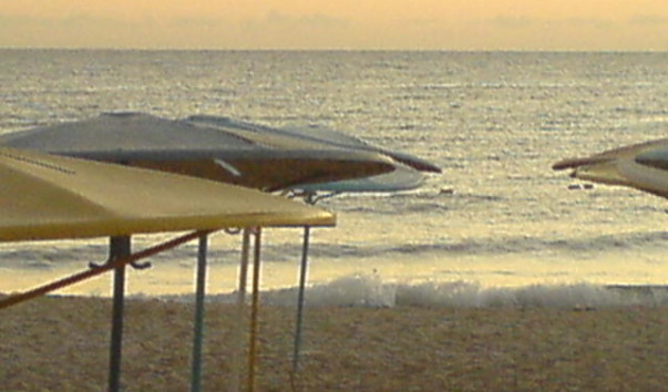 DSC00370
