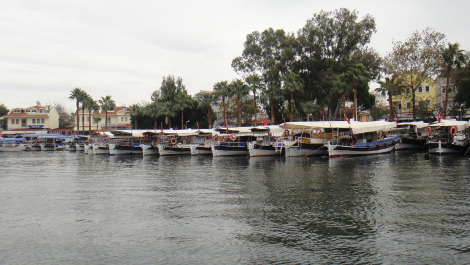 photo 1714530