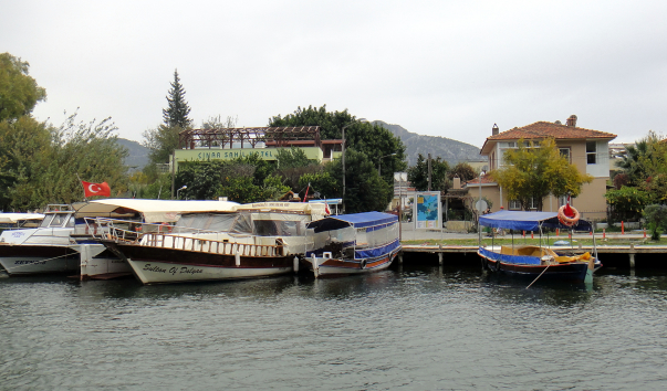 DSC00004