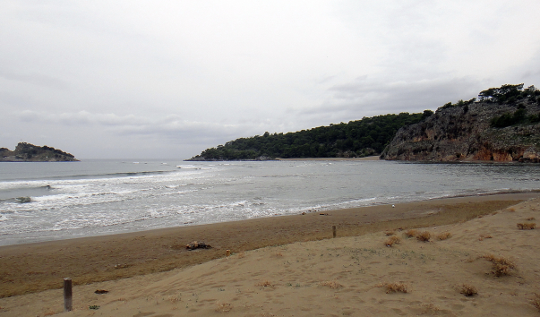 DSC00207