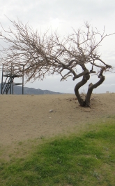photo 965258