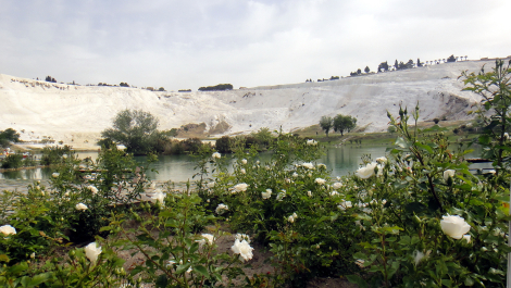 photo 1461778