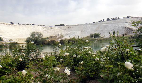 DSC03231