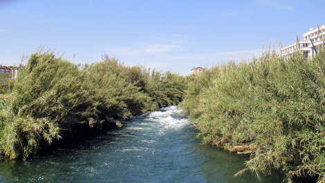 photo 1714521