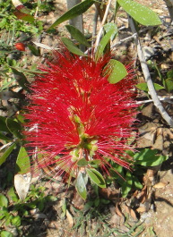 photo 1716249