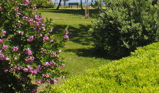 DSC01764.
