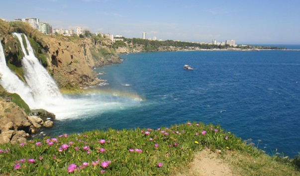 DSC01805