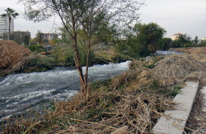 photo 1717499