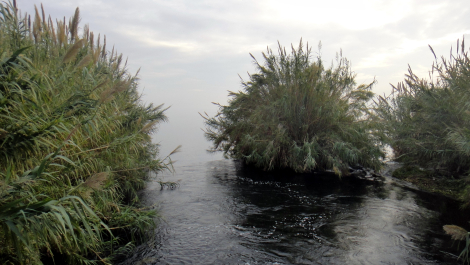 photo 1717972