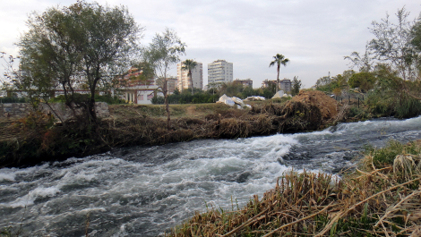 photo 1717974