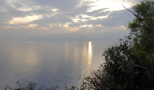 DSC08061