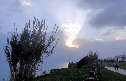 photo 1726786