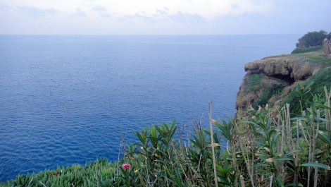 photo 1736152