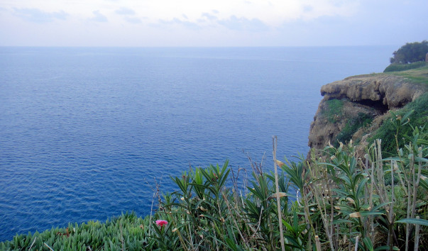 DSC08305