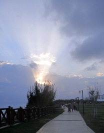 photo 1737474