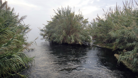 photo 1742742