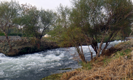 photo 1742743