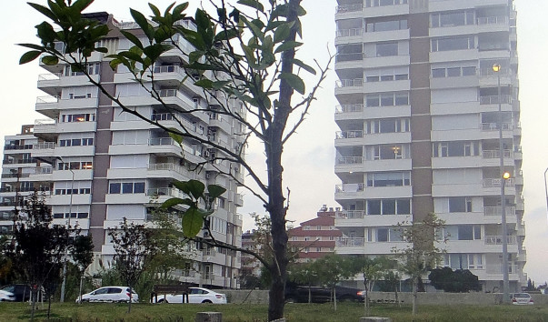 DSC08363