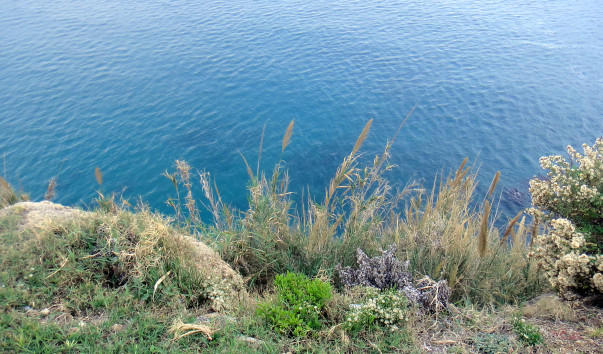 DSC08272