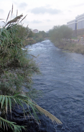 photo 1781575
