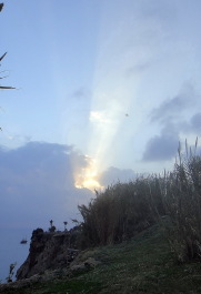 photo 1783241