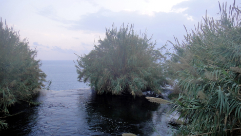 photo 1783544