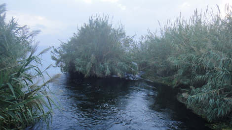 photo 1784059