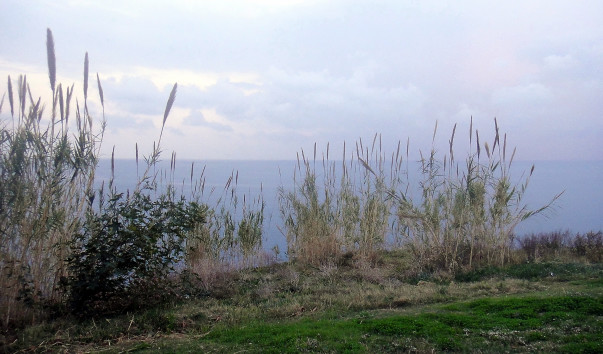 DSC08369