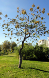 photo 1718906