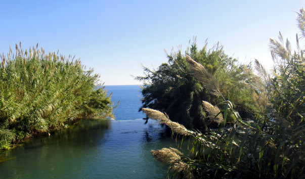 DSC07416
