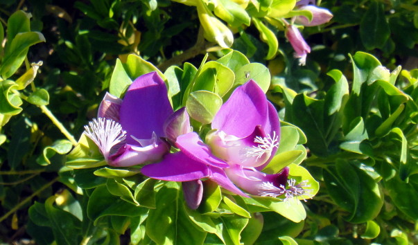 DSC07393