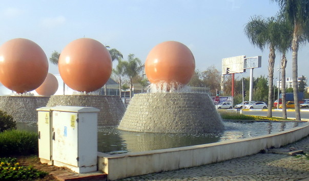 DSC08221