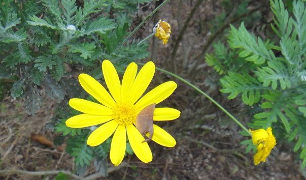DSC08396