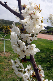 photo 1744659
