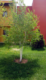 photo 1745273