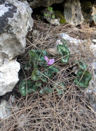 photo 1706143