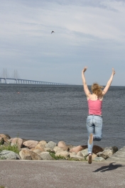 photo 475327
