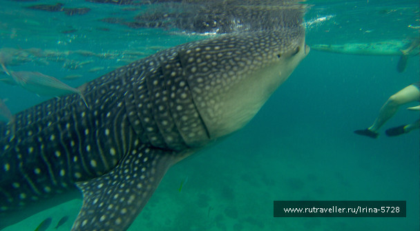 photo 1245591