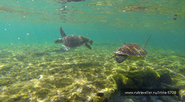 photo 1245914