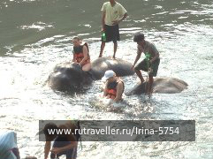 photo 726829