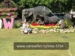 photo 726856